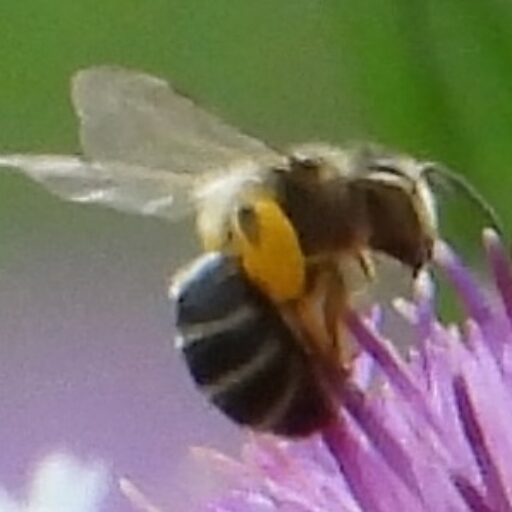 Vereniging Natuurbeheer Keerberg